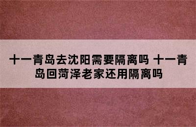 十一青岛去沈阳需要隔离吗 十一青岛回菏泽老家还用隔离吗